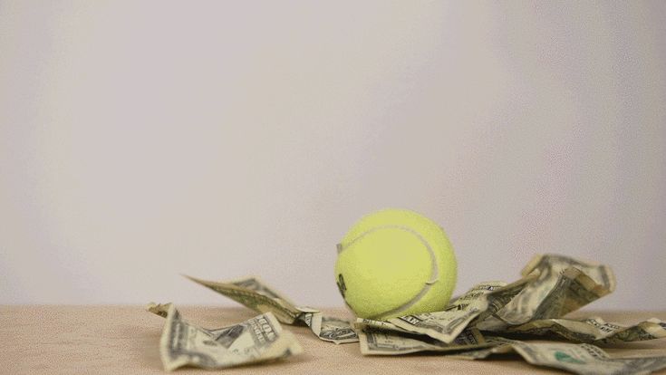 Why Is Online Cricket Betting So Popular In India?