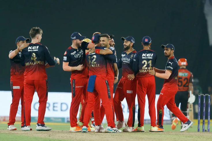 Will RCB qualify for IPL 2024?