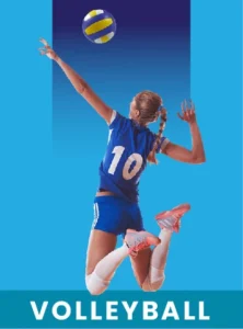 tigerbook volleyball games | Laser247