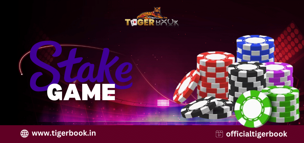 Stake Casino