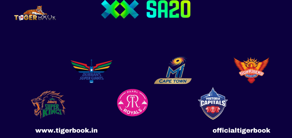 IPL team owners