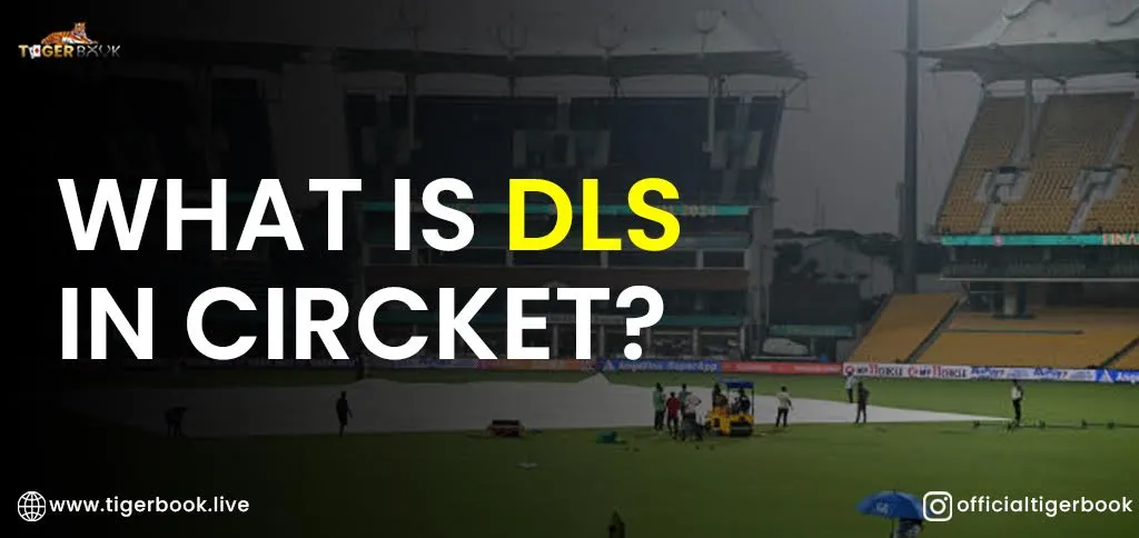 DLS method in cricket