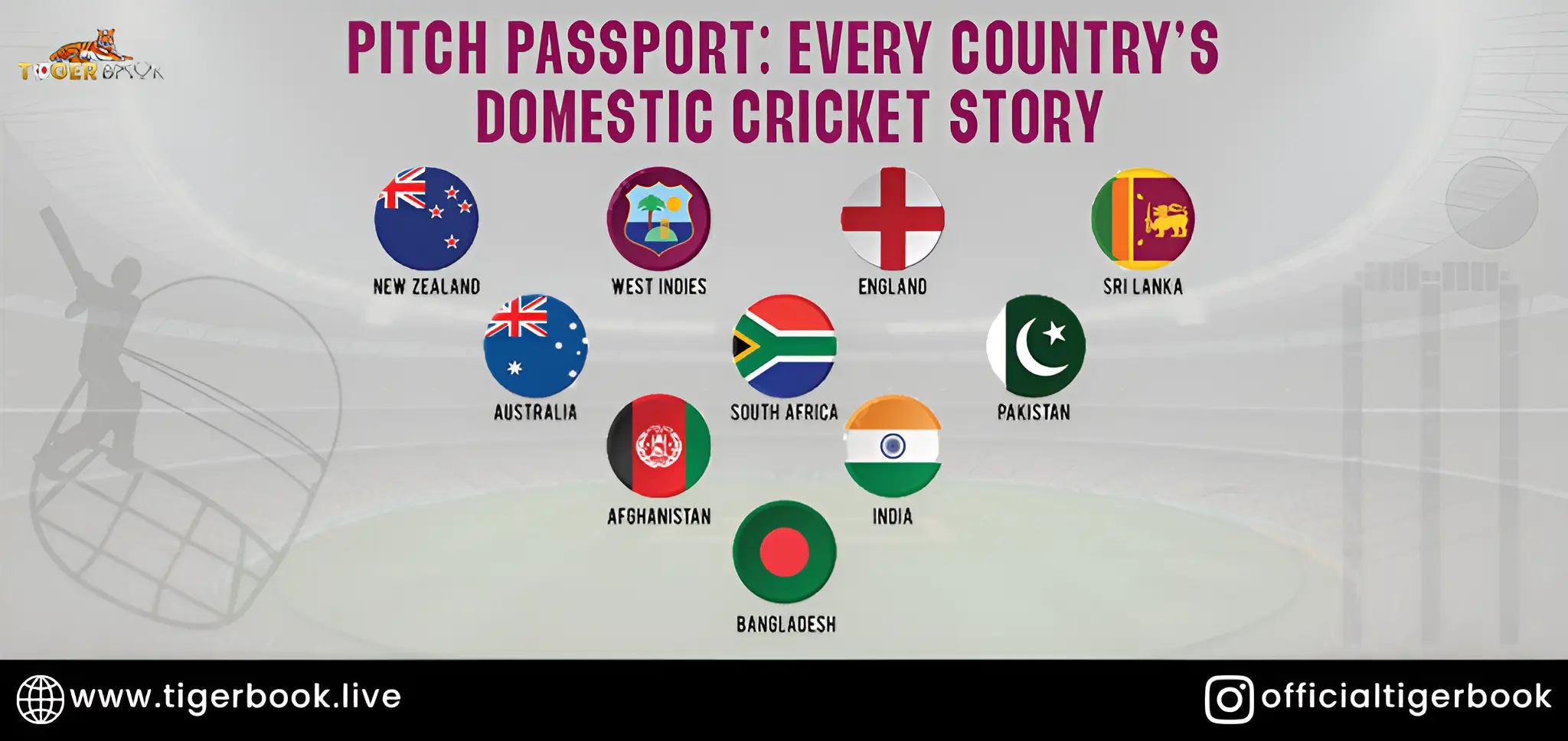 Domestic Cricket