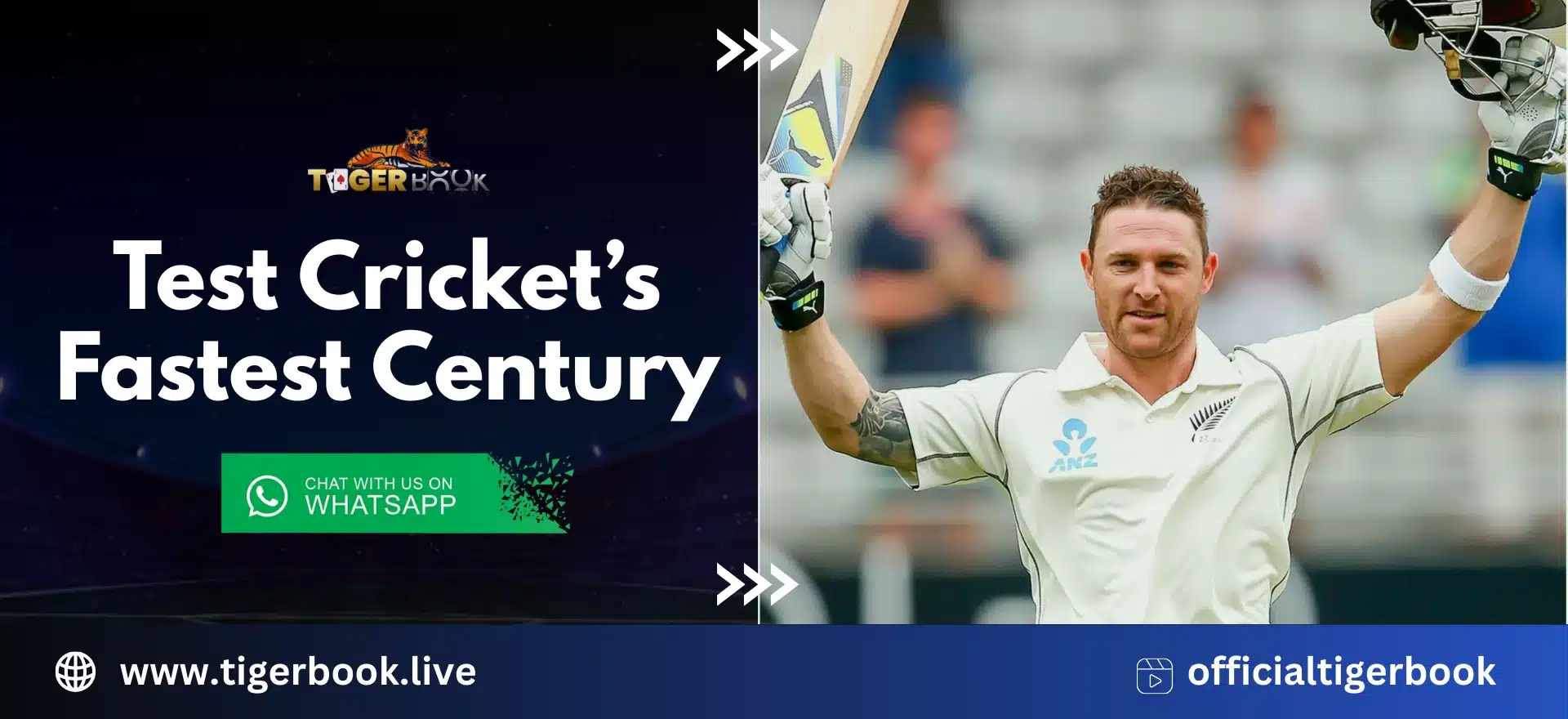 test cricket fastest century