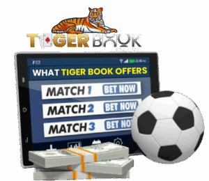 online cricket id | online betting id | cricket id